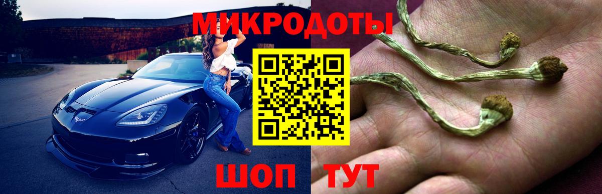 дарнет шоп  Галлюциногенные грибы Psilocybe  Вход с VPN  Михайловск 